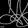 Output33604