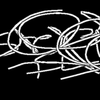 Output36376