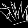 Output41493