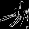 Output54737