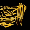 Upload