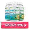 Garcinia%20sk2000%203