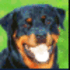 893