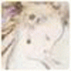 251
