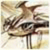 163